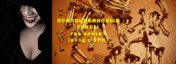 гидра Балабаново