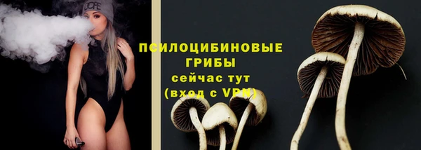 2c-b Белоозёрский