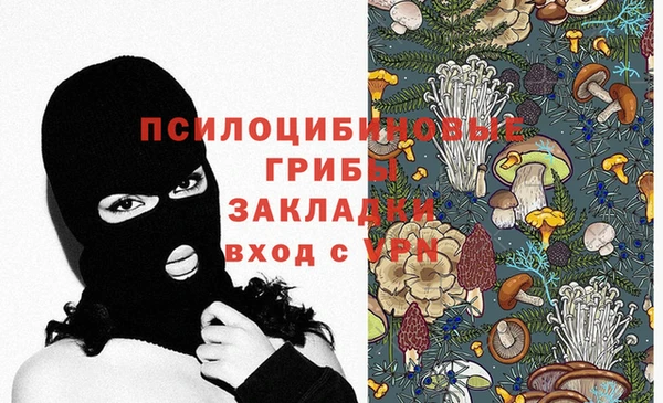 тгк Белокуриха