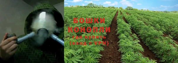 тгк Белокуриха