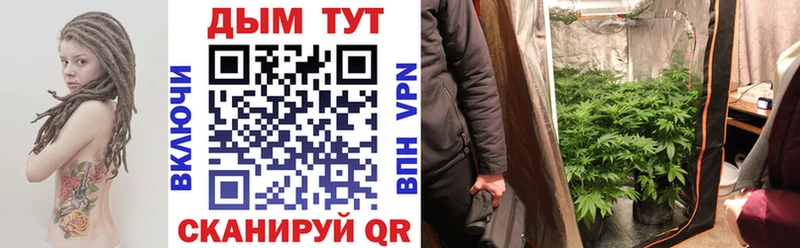 Конопля Bruce Banner  Заозёрск 